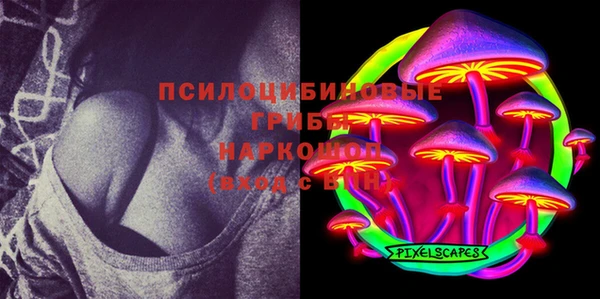 ГАЛЛЮЦИНОГЕННЫЕ ГРИБЫ Алексин