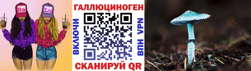 Псилоцибиновые грибы MAGIC MUSHROOMS  где продают   Чайковский 