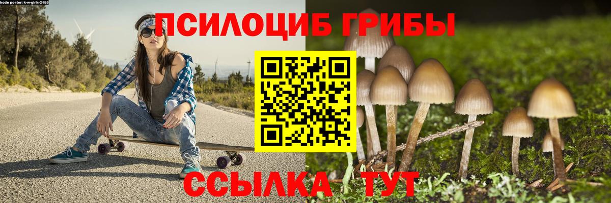 сколько стоит  Галлюциногенные грибы GOLDEN TEACHER  Вход с VPN  Чайковский 